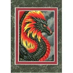 Fire Dragon Portrait